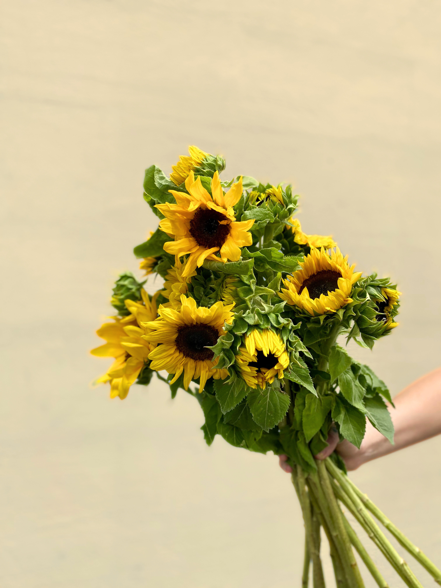 Flower St Market Bunch