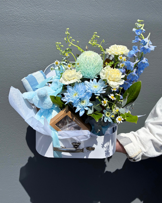 Baby Boy Bundle