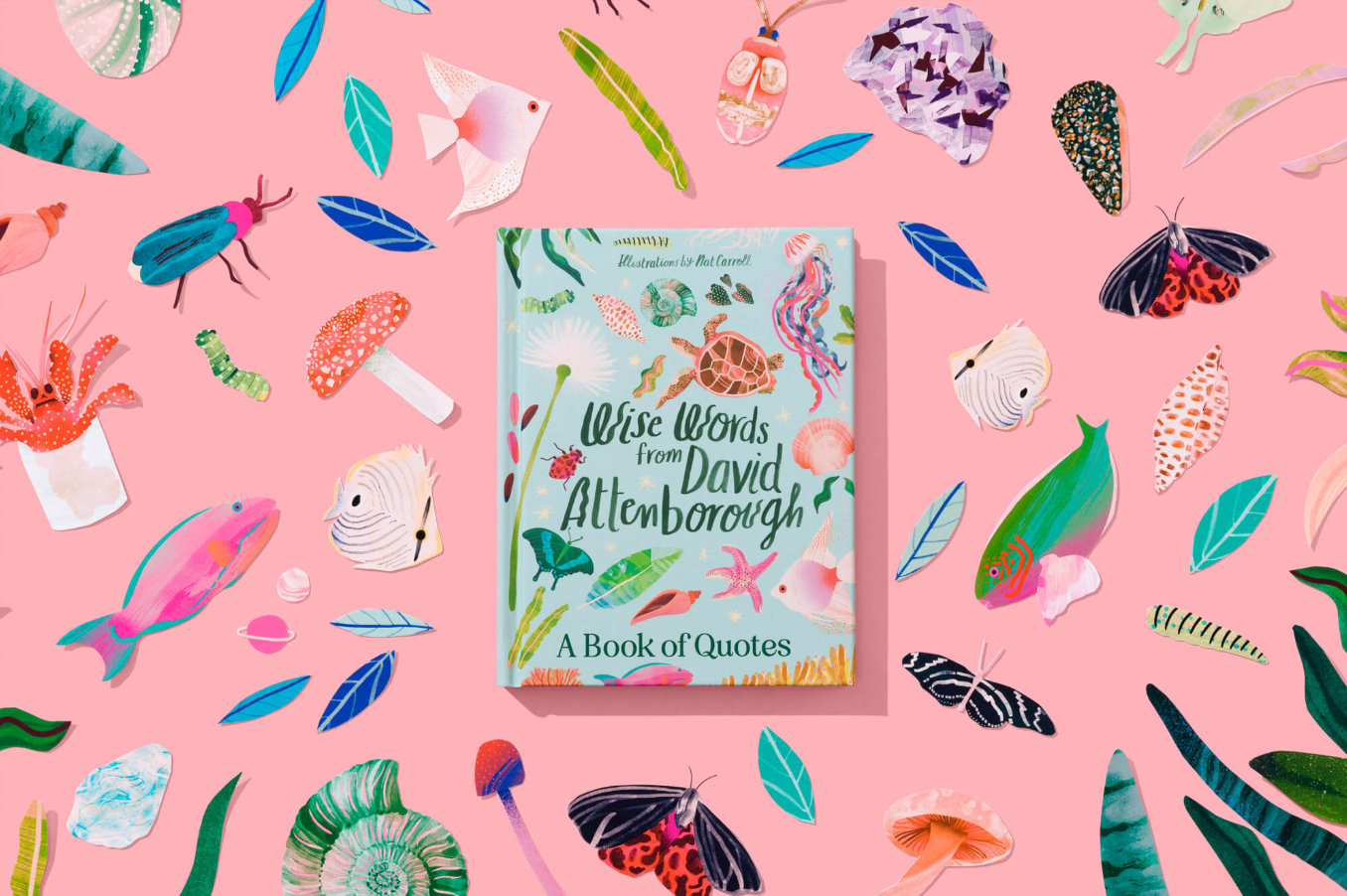 Kew Road Bundle