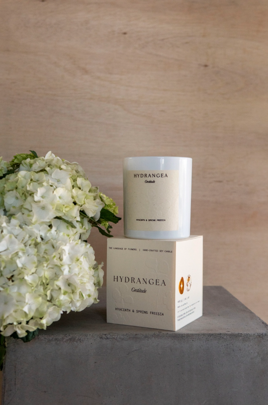 Studio Sol - The Language of Flowers | Hydrangea