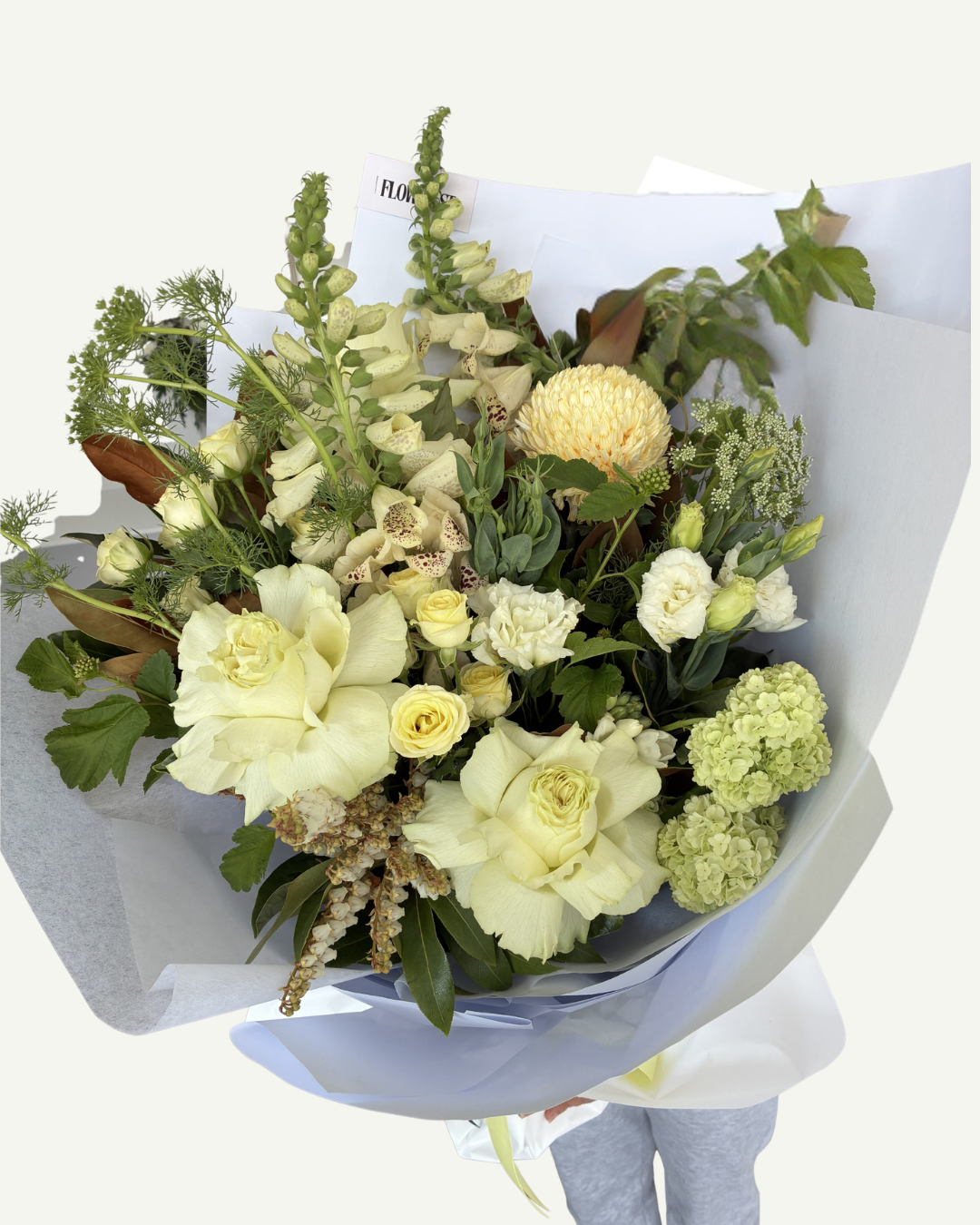 Capri