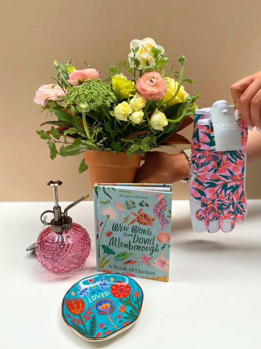 Kew Road Bundle