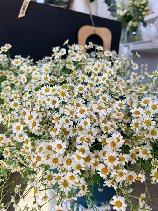 Bouquet of white and yellow flowers with a blurred background