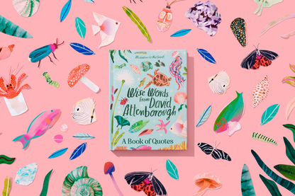Kew Road Bundle