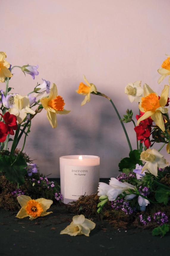 Studio Sol - The Languange of Flowers | Daffodil