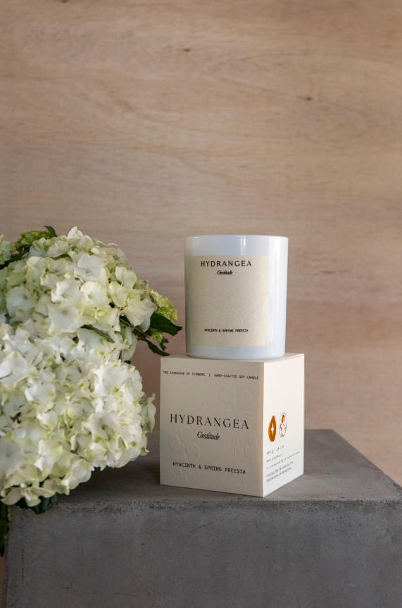 Studio Sol - The Language of Flowers | Hydrangea