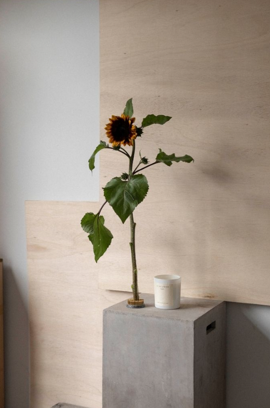 Studio Sol - The Languange of Flowers | Sunflower